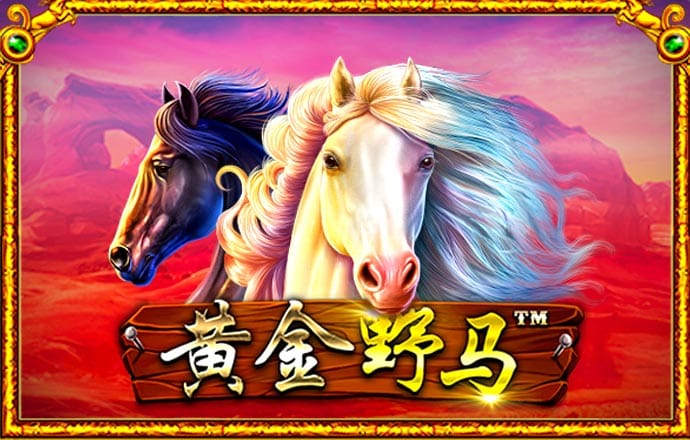 美一飞机在莱特兄弟纪念馆附近坠毁