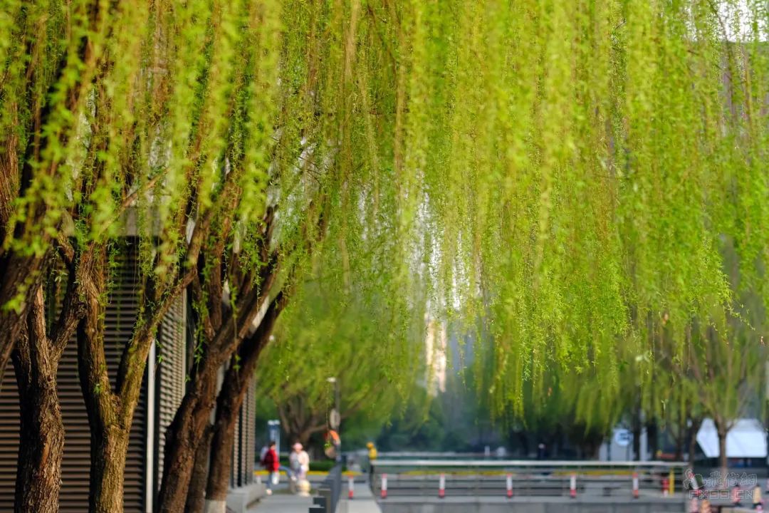 王伟：中国足球一件事都没做好